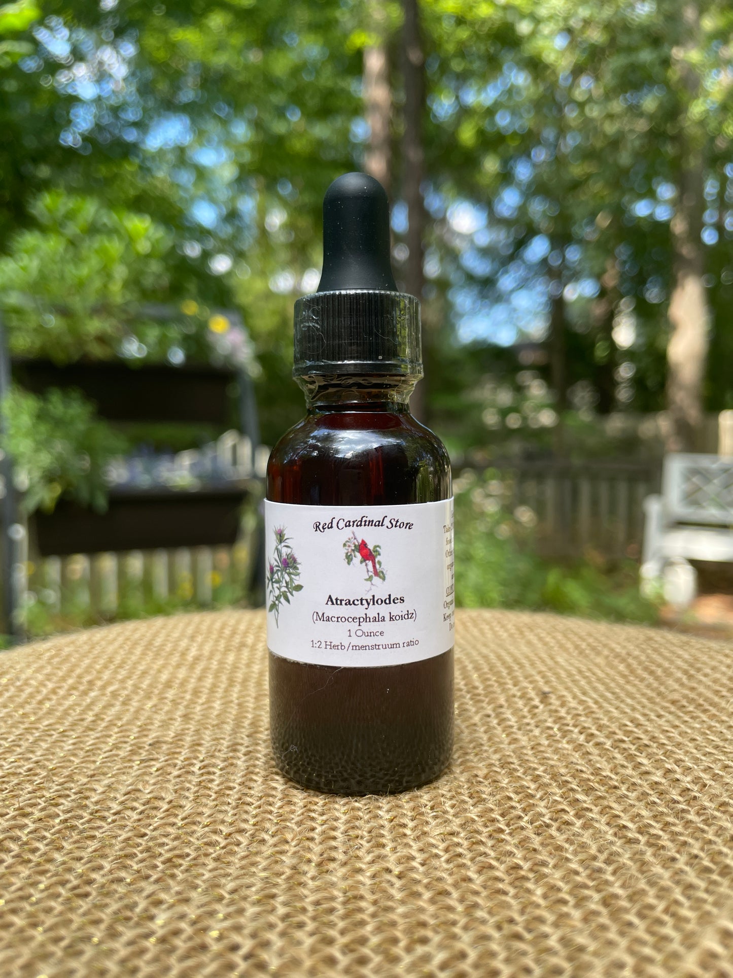 Atractylodes (Bai Zhu) Tincture Herb Extract Double Extraction