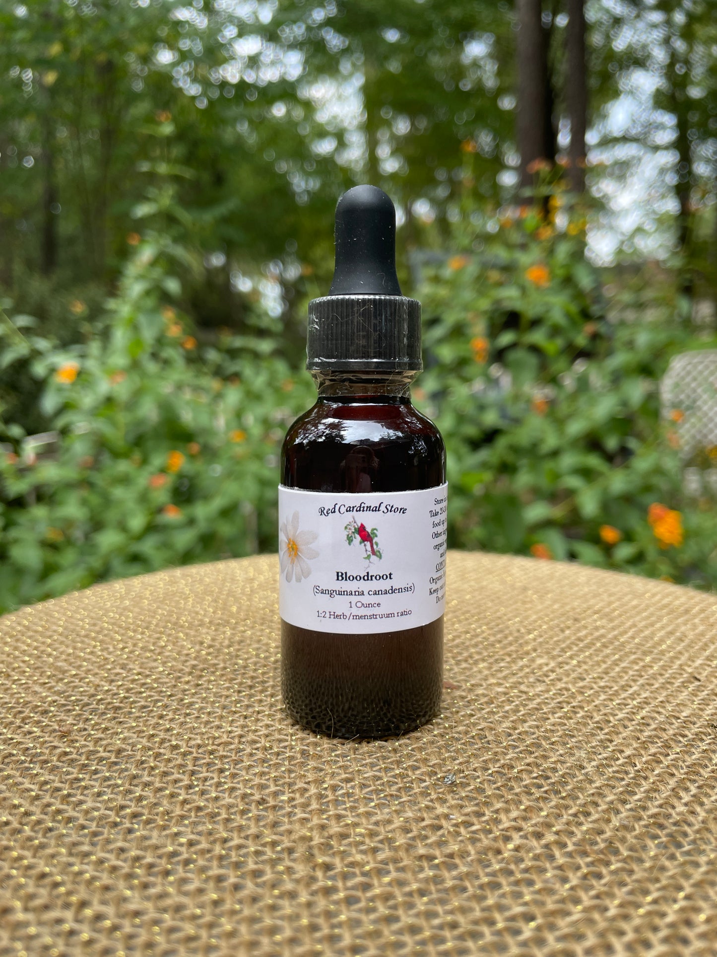 Bloodroot (Sanguinaria Canadensis) Tincture Herb Extract Double Extraction
