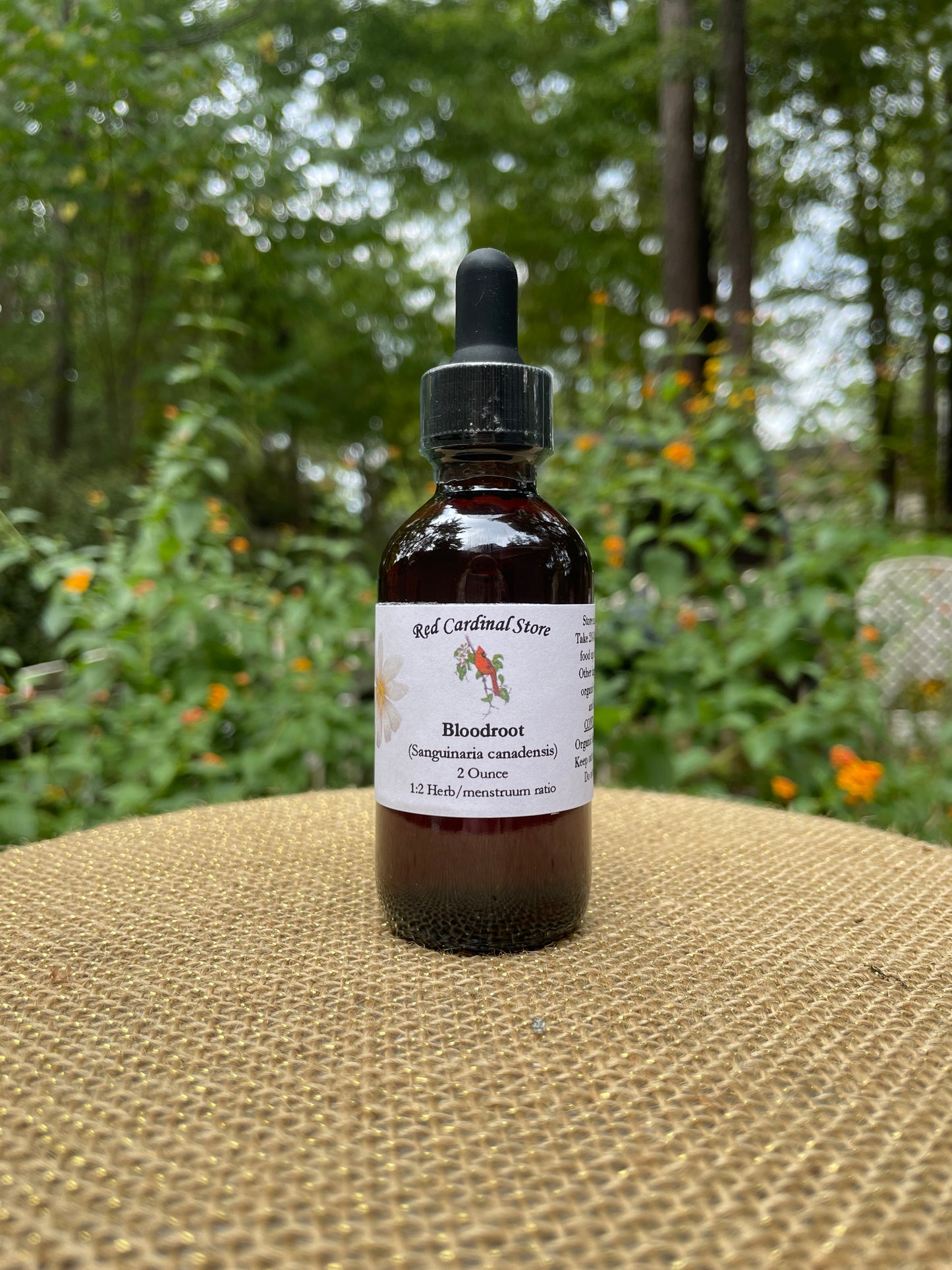 Bloodroot (Sanguinaria Canadensis) Tincture Herb Extract Double Extraction