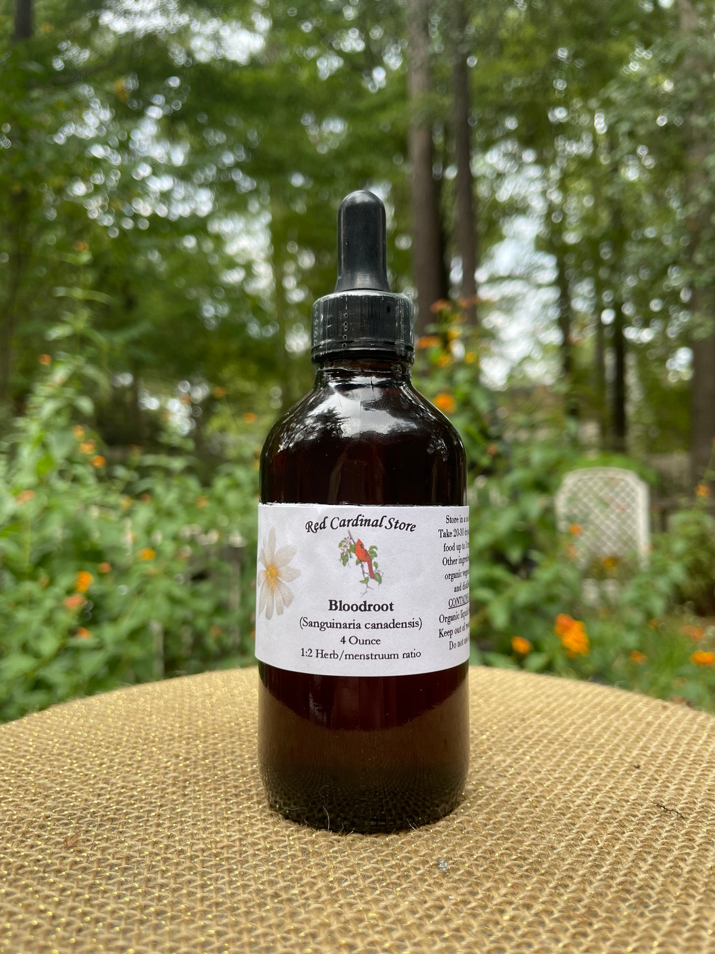 Bloodroot (Sanguinaria Canadensis) Tincture Herb Extract Double Extraction