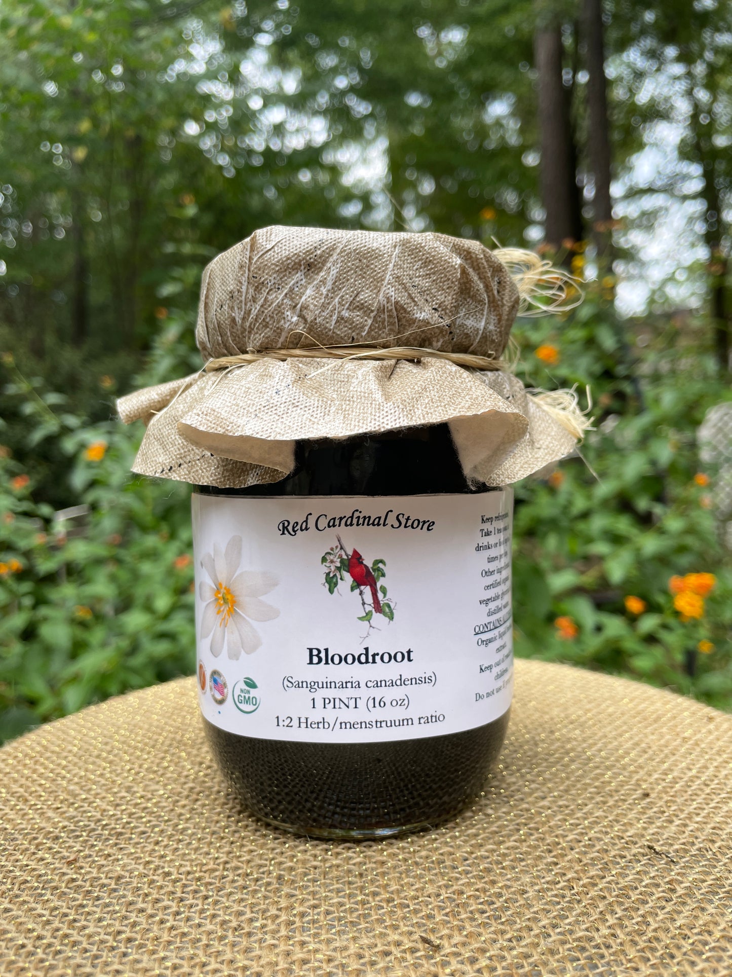 Bloodroot (Sanguinaria Canadensis) Tincture Herb Extract Double Extraction