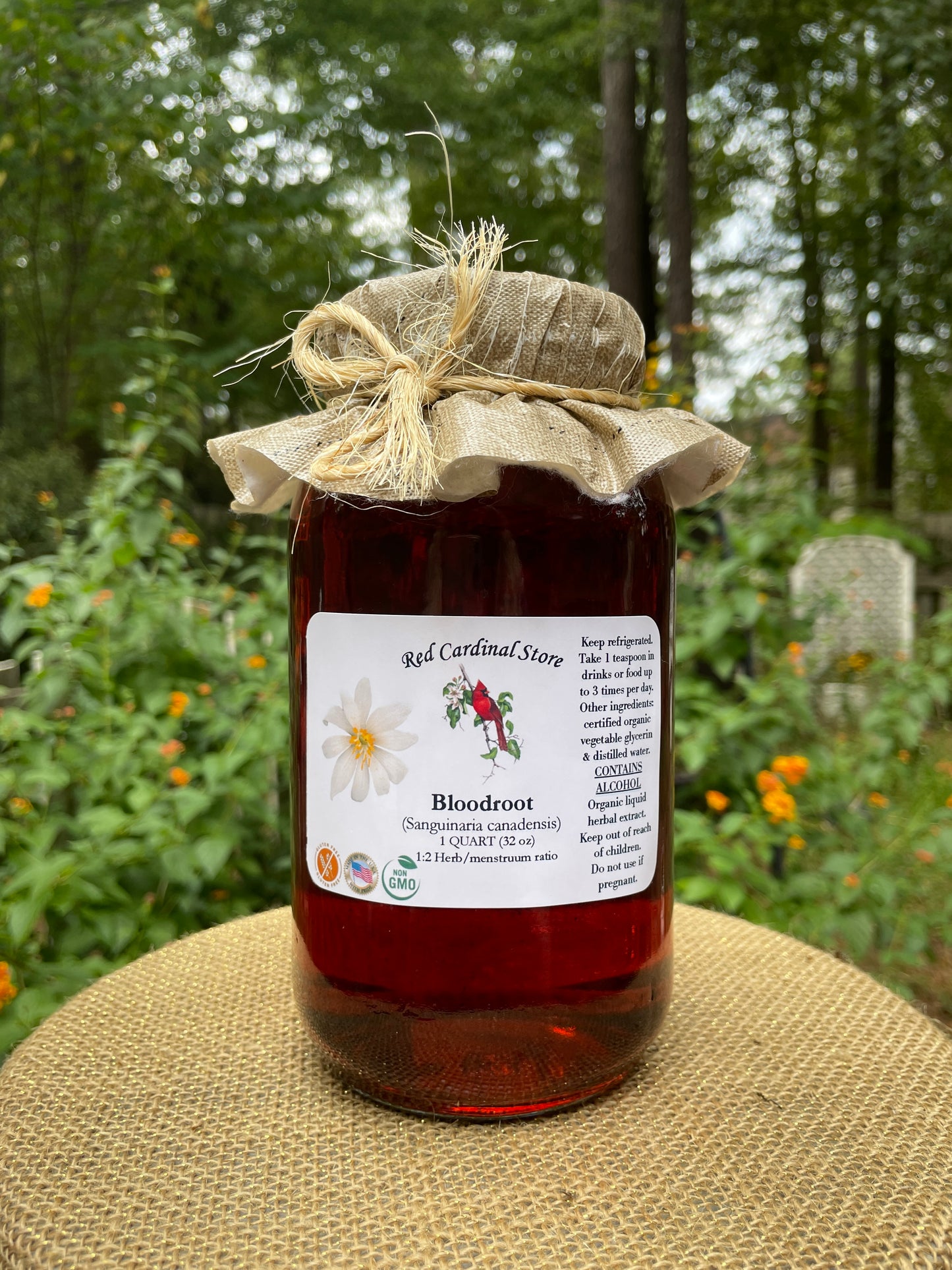 Bloodroot (Sanguinaria Canadensis) Tincture Herb Extract Double Extraction