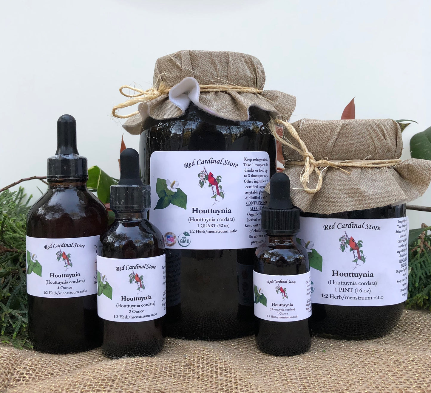Houttuynia Tincture Herb Extract Double Extraction