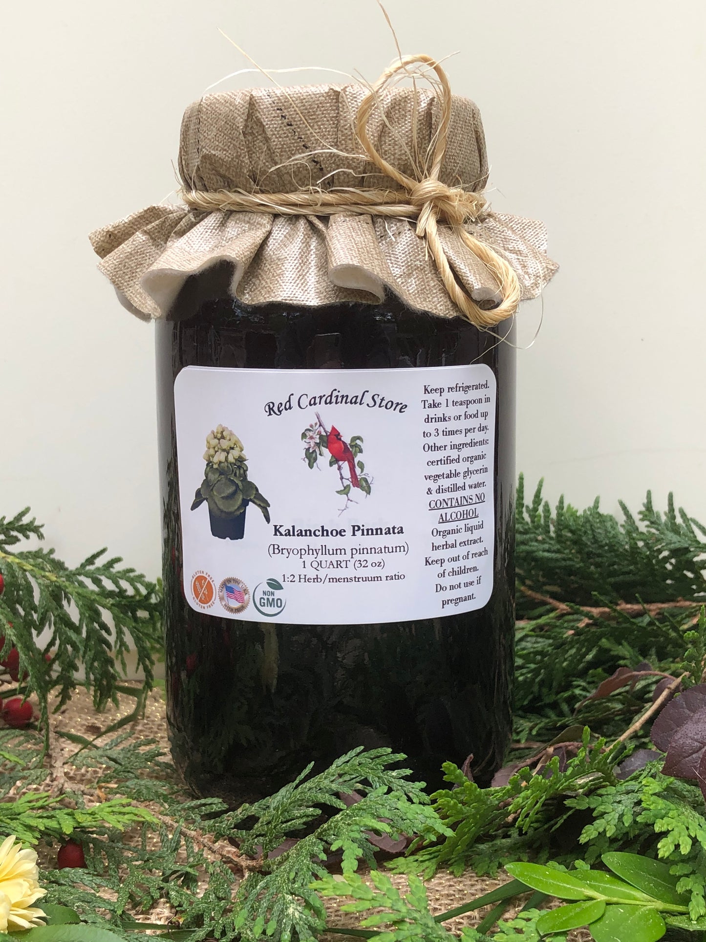 Kalanchoe Pinnata Tincture Herb Extract Double Extraction