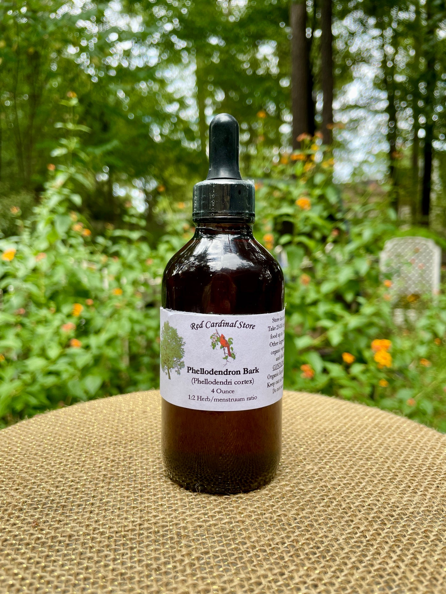 Phellodendron Bark (Amur Cork Tree, Huang Bai) Tincture Herb Extract Double Extraction