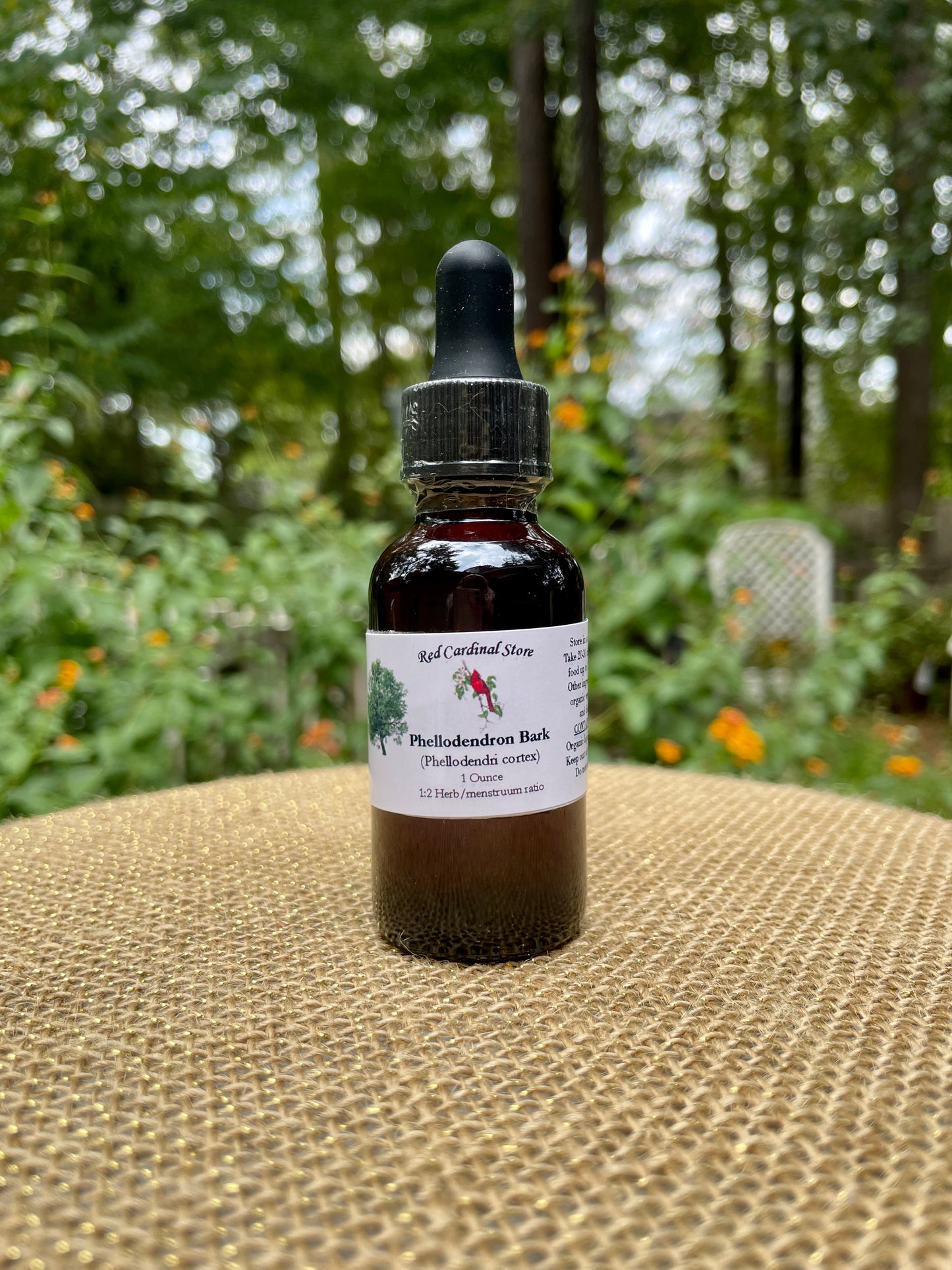 Phellodendron Bark (Amur Cork Tree, Huang Bai) Tincture Herb Extract Double Extraction