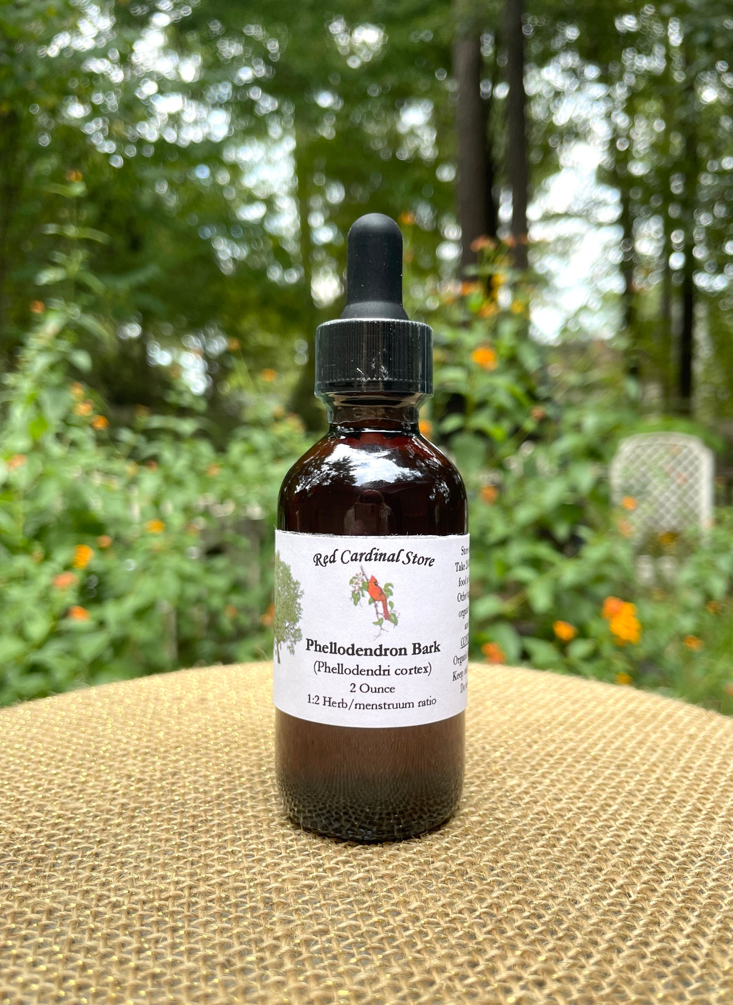 Phellodendron Bark (Amur Cork Tree, Huang Bai) Tincture Herb Extract Double Extraction