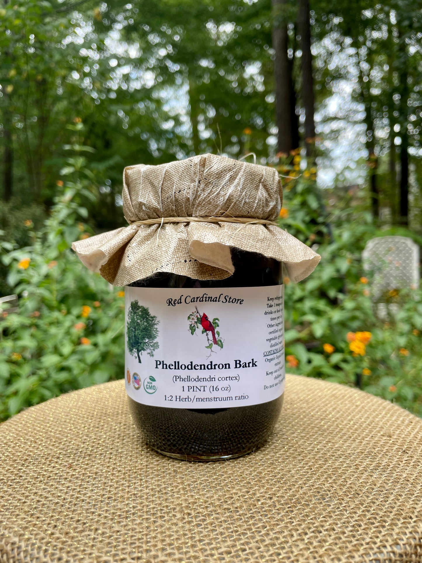 Phellodendron Bark (Amur Cork Tree, Huang Bai) Tincture Herb Extract Double Extraction