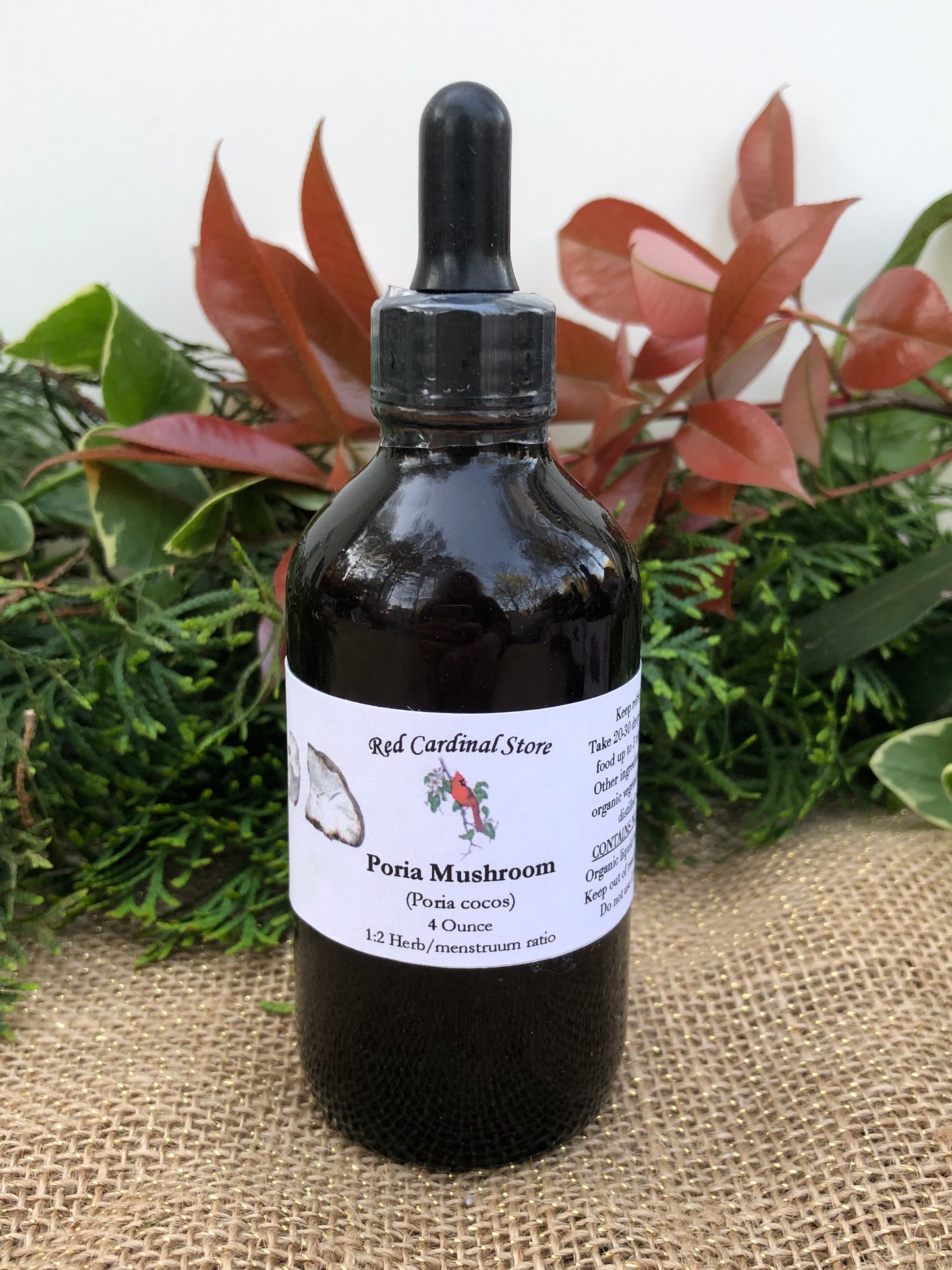 Poria Mushroom (China Root, Fu Ling, Poria Cocos) Tincture Herb Extract Double Extraction