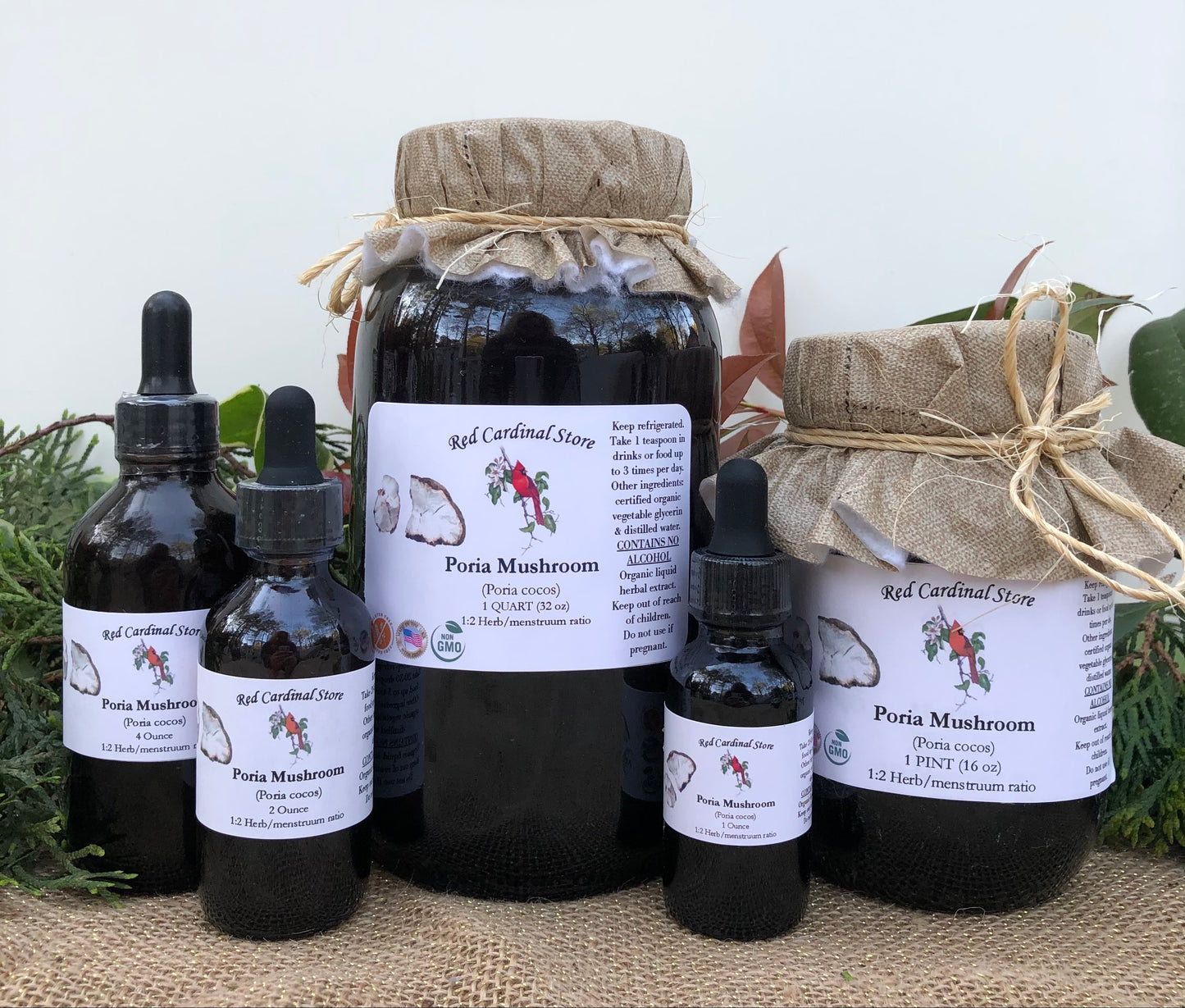 Poria Mushroom (China Root, Fu Ling, Poria Cocos) Tincture Herb Extract Double Extraction
