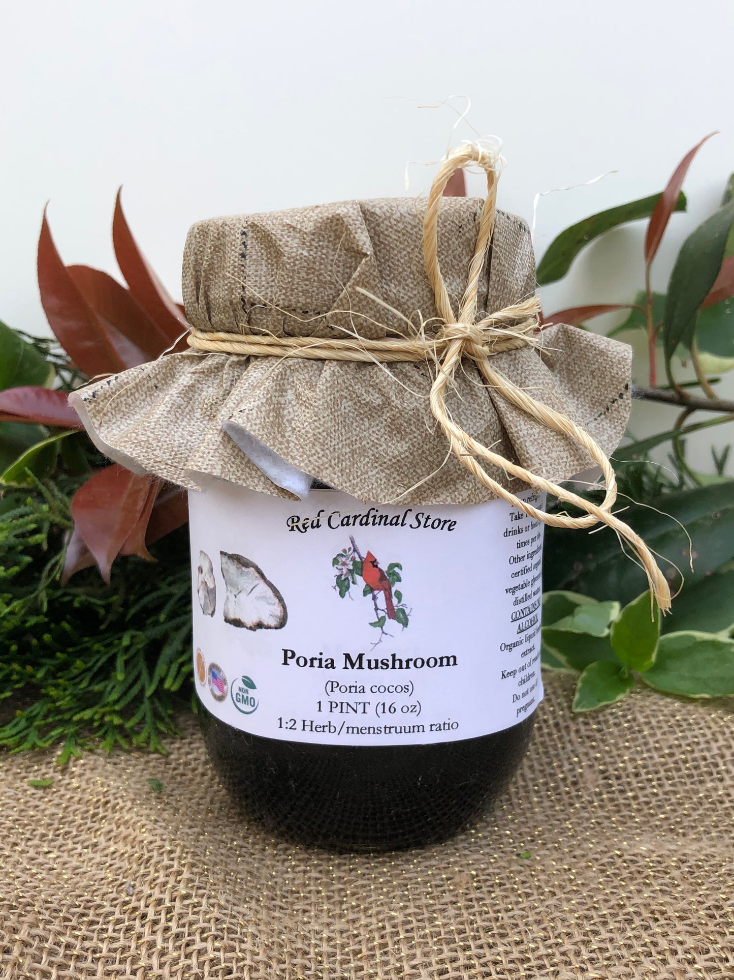 Poria Mushroom (China Root, Fu Ling, Poria Cocos) Tincture Herb Extract Double Extraction