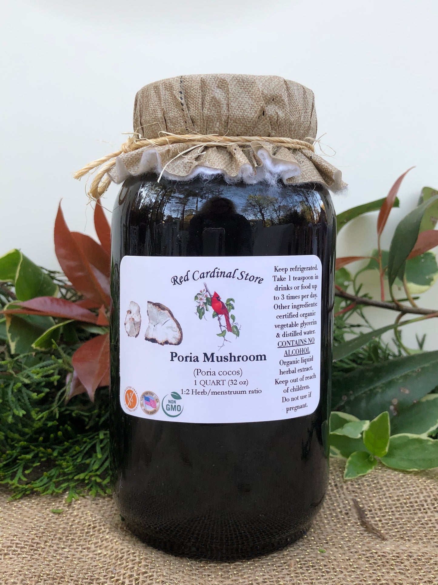 Poria Mushroom (China Root, Fu Ling, Poria Cocos) Tincture Herb Extract Double Extraction
