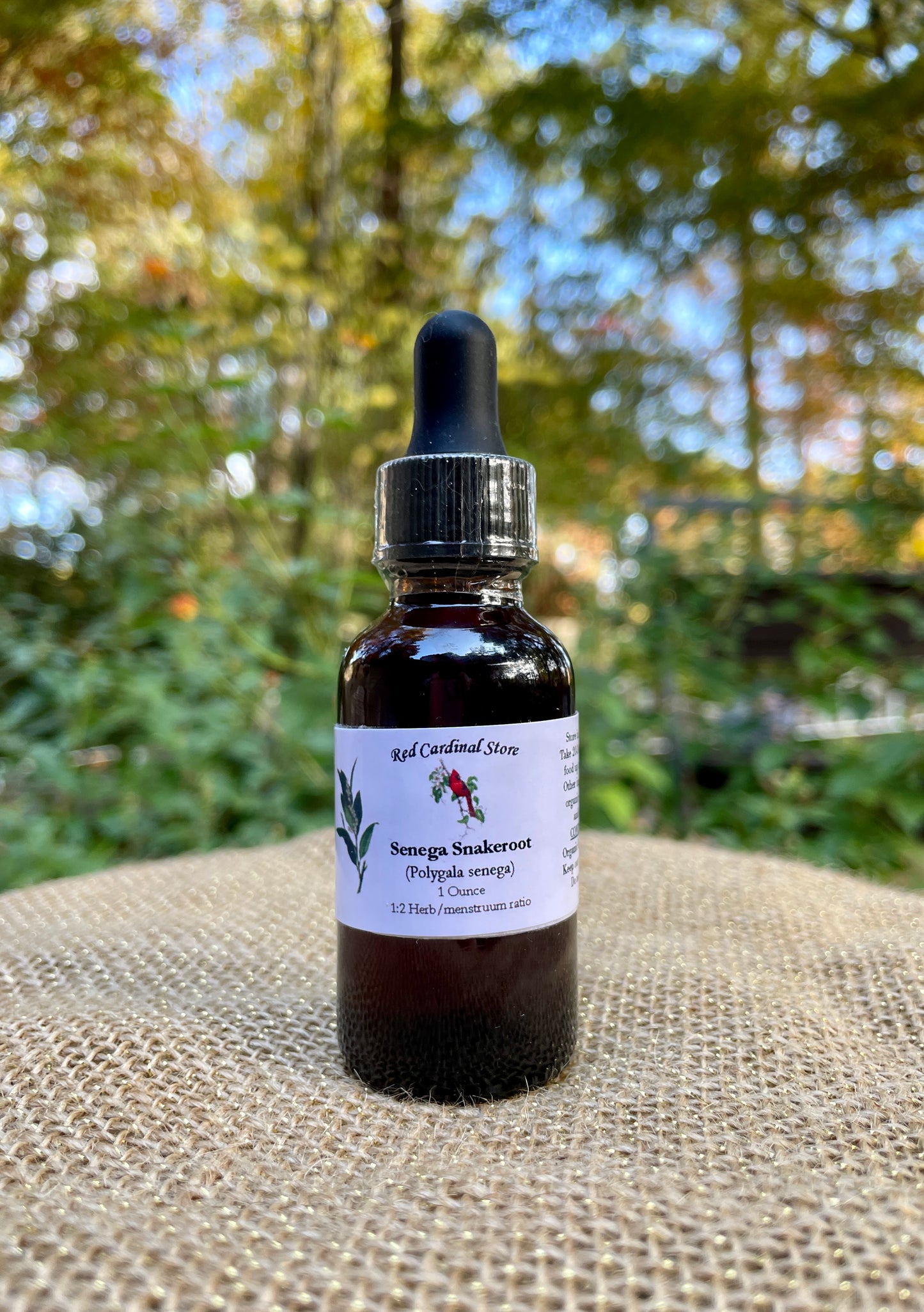 Senega Snakeroot (Polygala Senega) Tincture Herb Extract Double Extraction