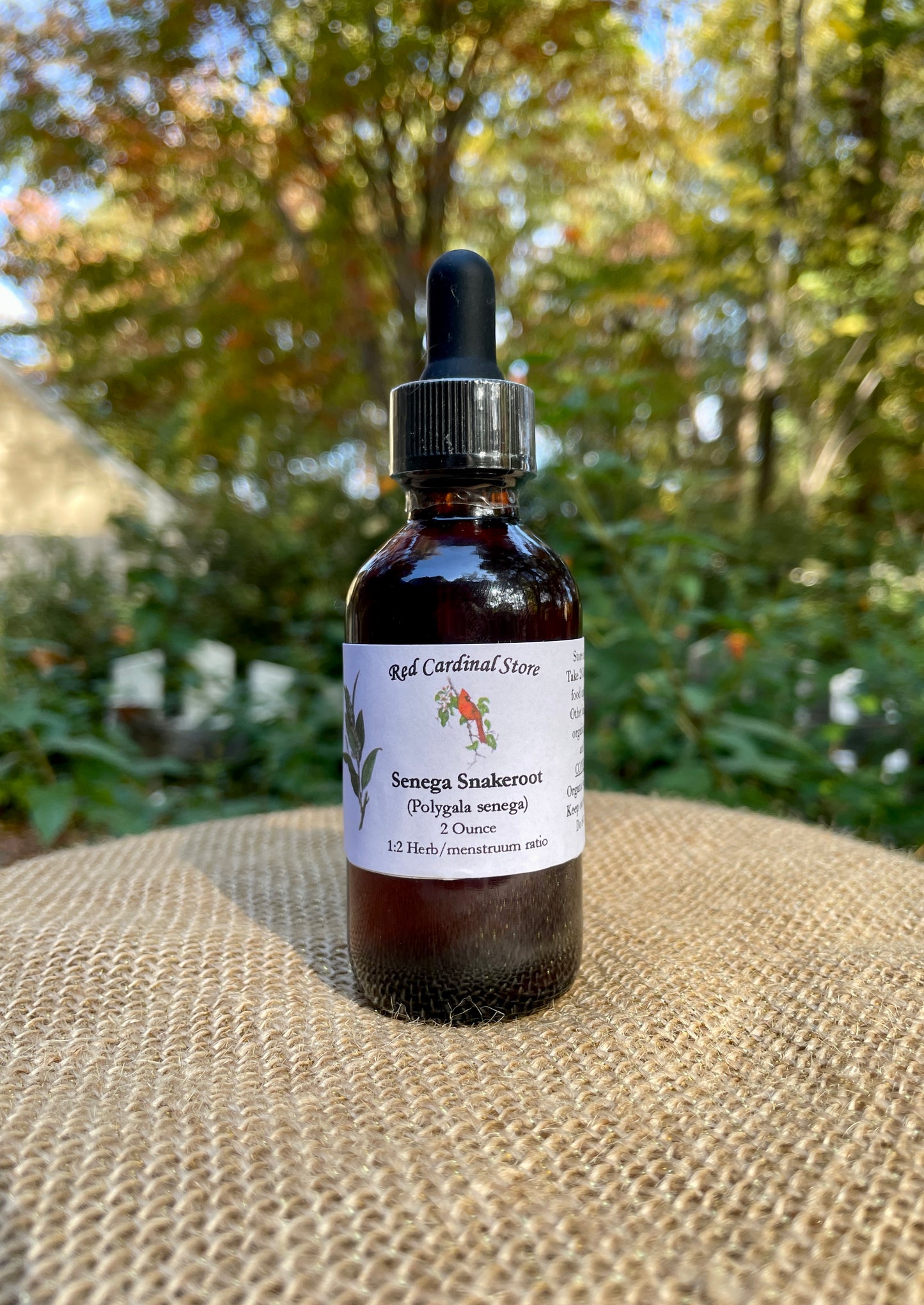Senega Snakeroot (Polygala Senega) Tincture Herb Extract Double Extraction