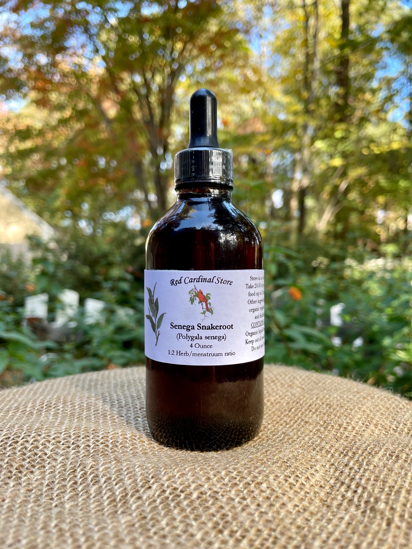 Senega Snakeroot (Polygala Senega) Tincture Herb Extract Double Extraction