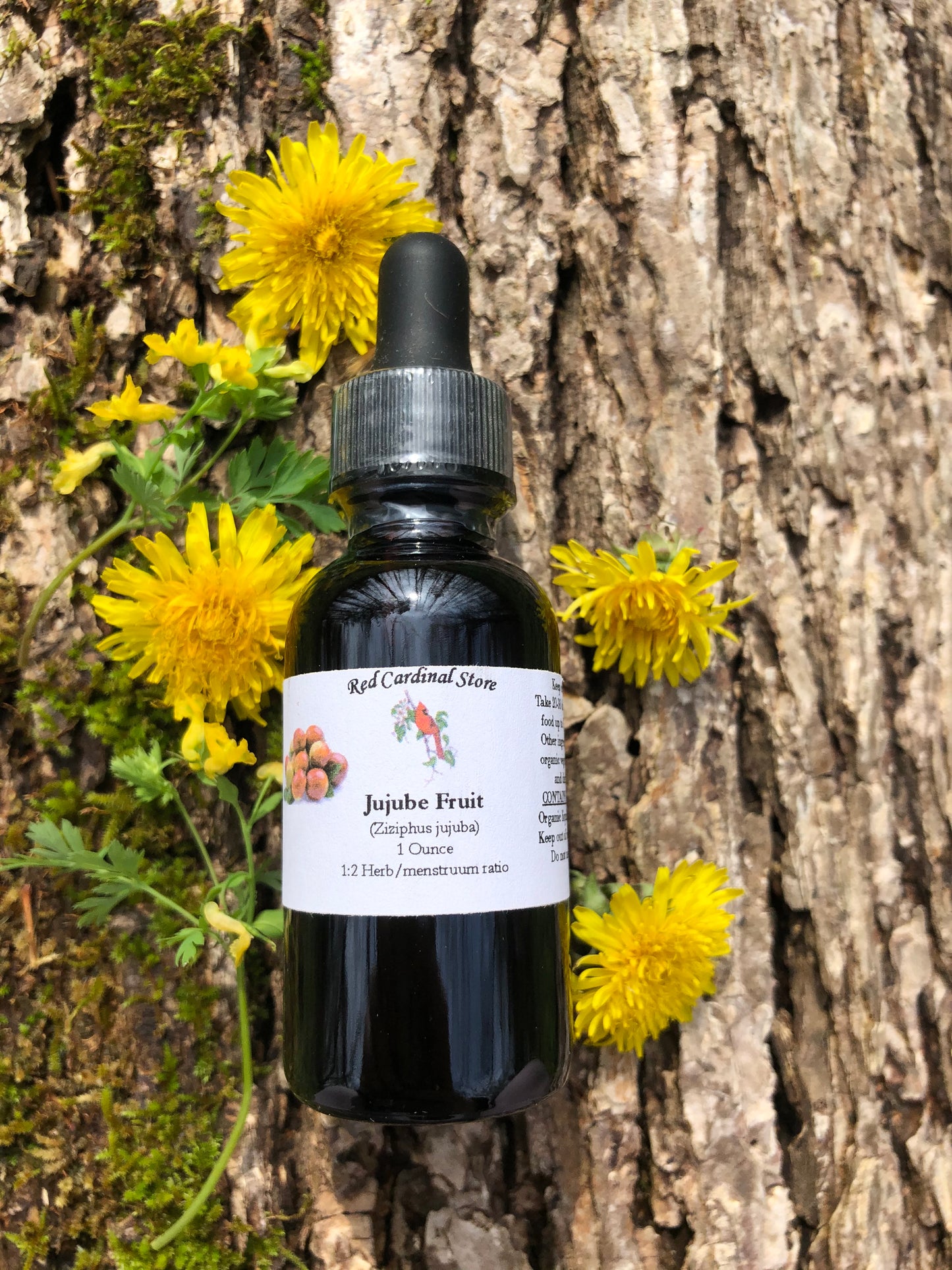 Jujube Fruit Tincture Herb Extract Double Extraction