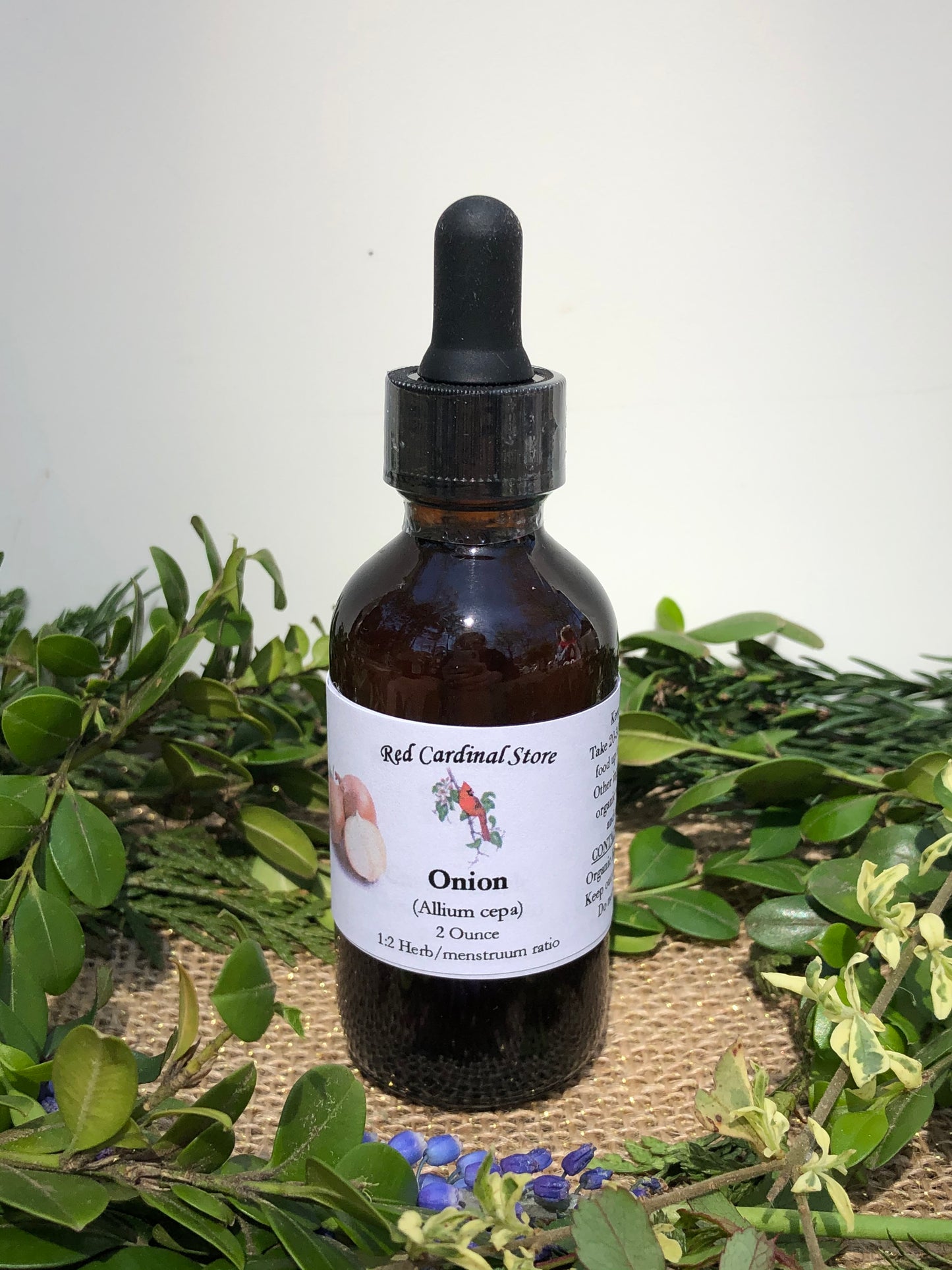 Onion Tincture Herb Extract Double Extraction