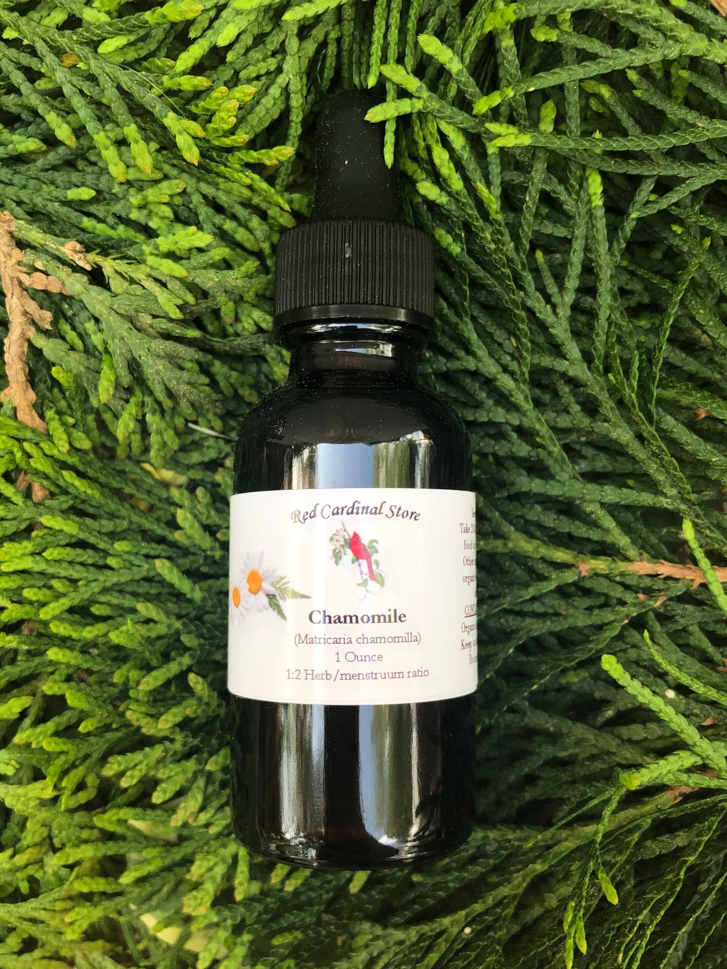 洋甘菊酊药草提取物双重提取