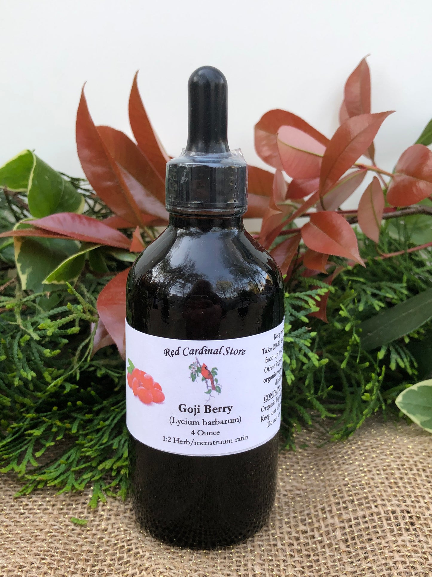 枸杞(枸杞、Murali、Bocksdorn)酊药草提取物双重提取