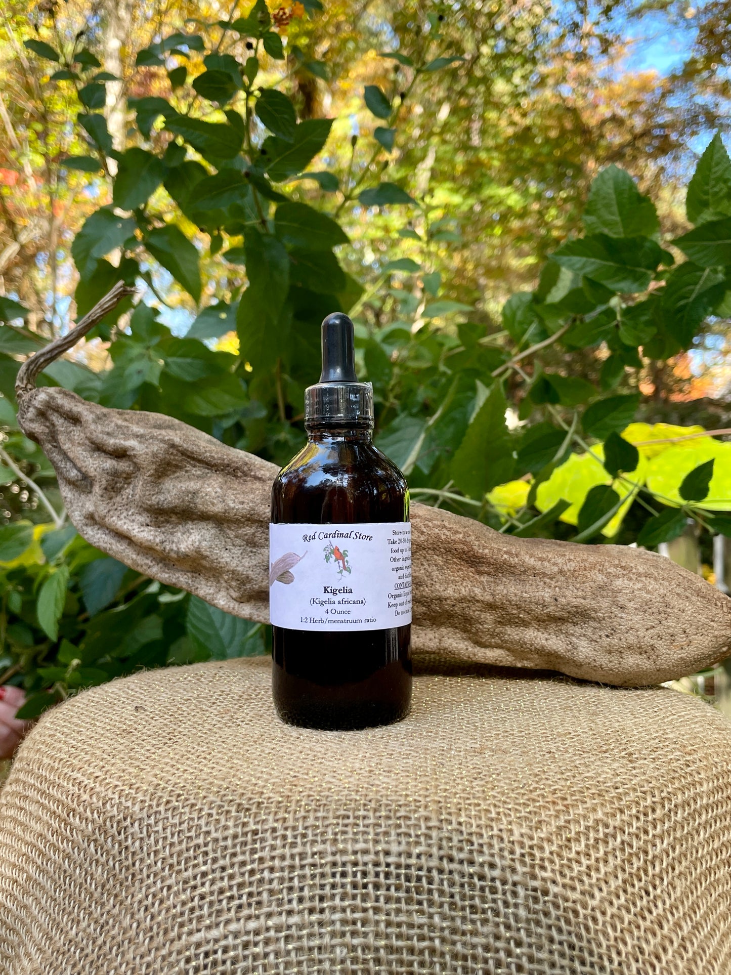 Kigelia(香肠树)酊药草提取物双重提取