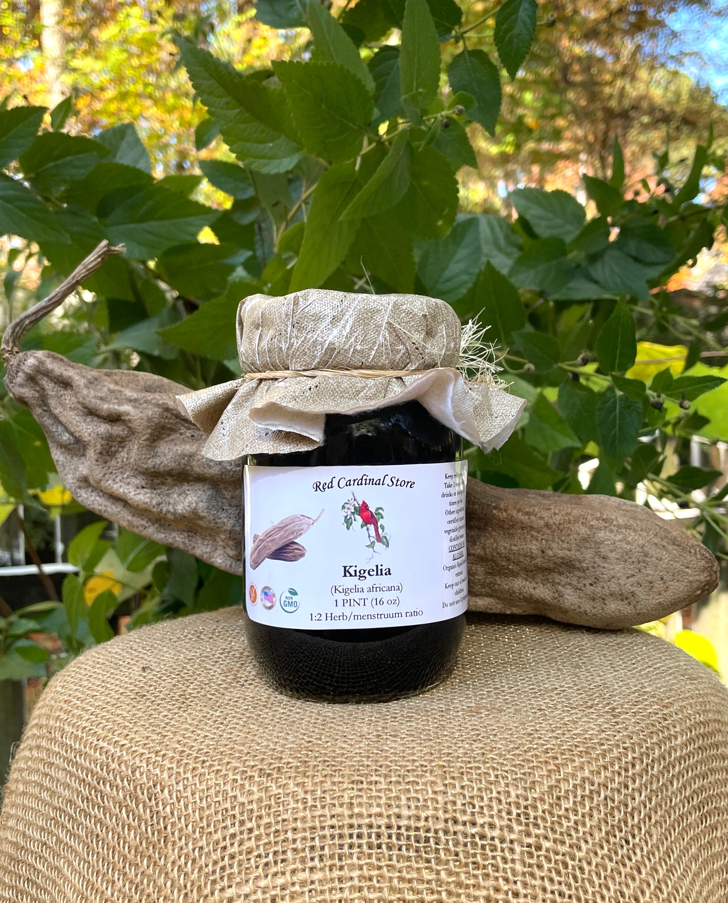 Kigelia(香肠树)酊药草提取物双重提取