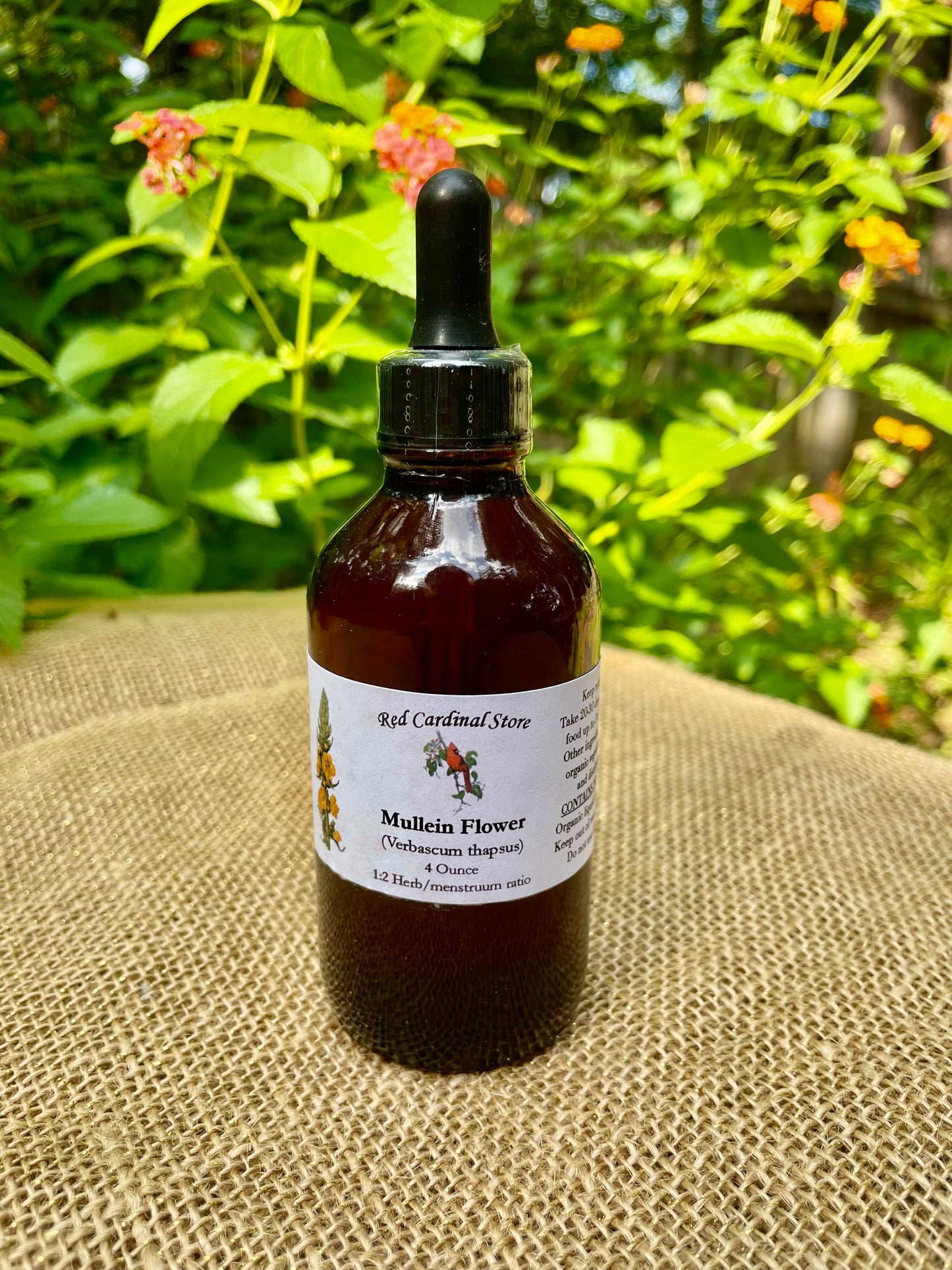 毛蕊花酊草本提取物双重提取