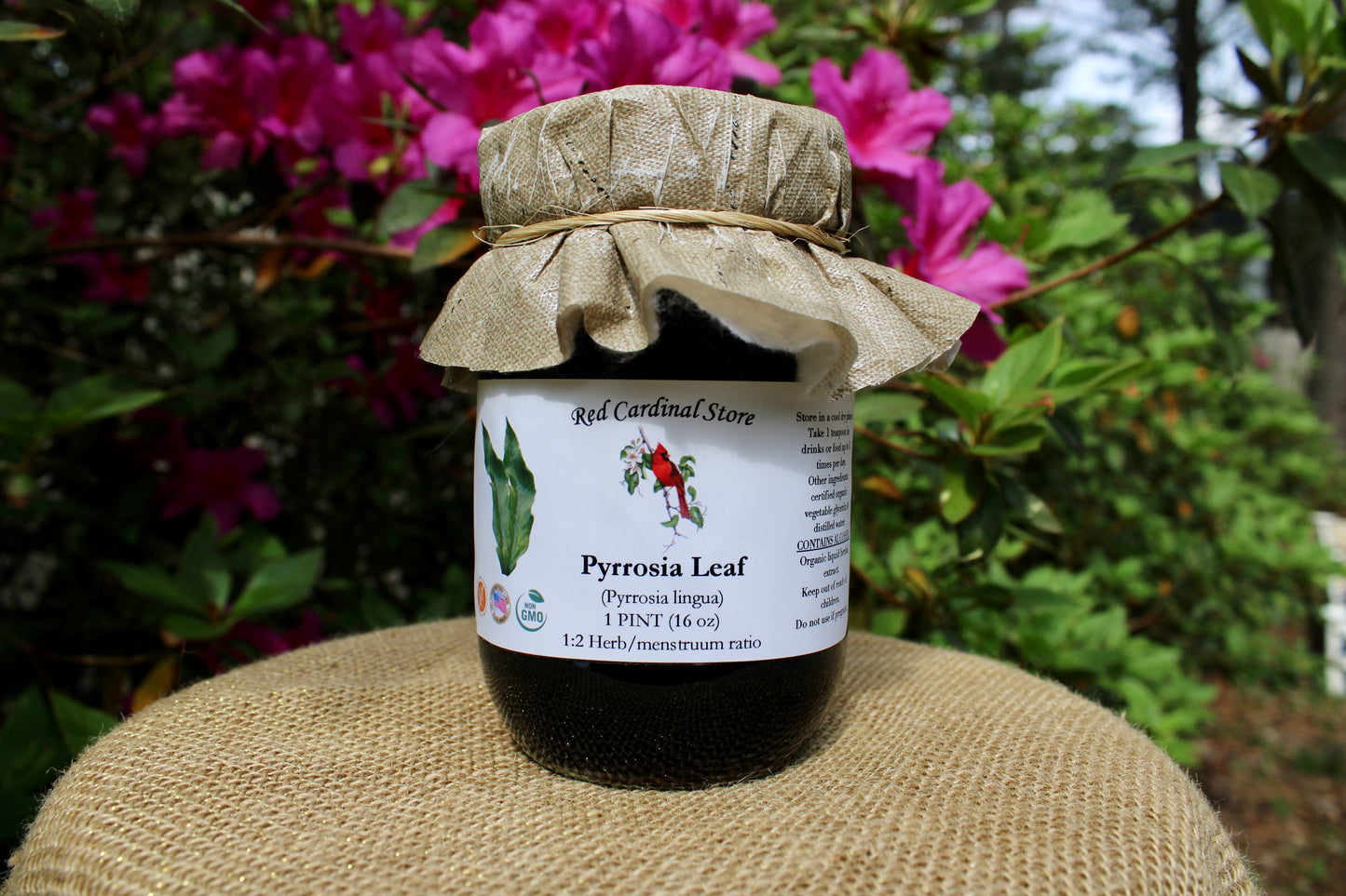 Pyrrosia Leaf (Shi Wei, Pyrrosia Lingua) Tincture Herb Extract Double Extraction