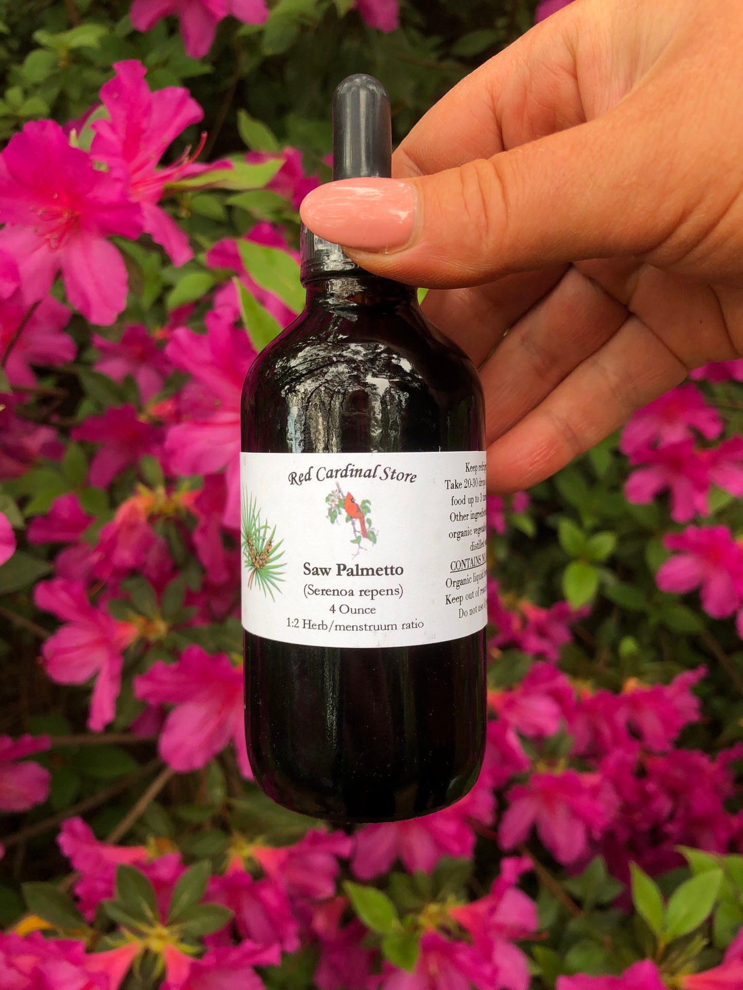 Saw Palmetto Berry (Dwarf Palm, Shrub Palmetto) Tincture Herb Extract Double Extraction