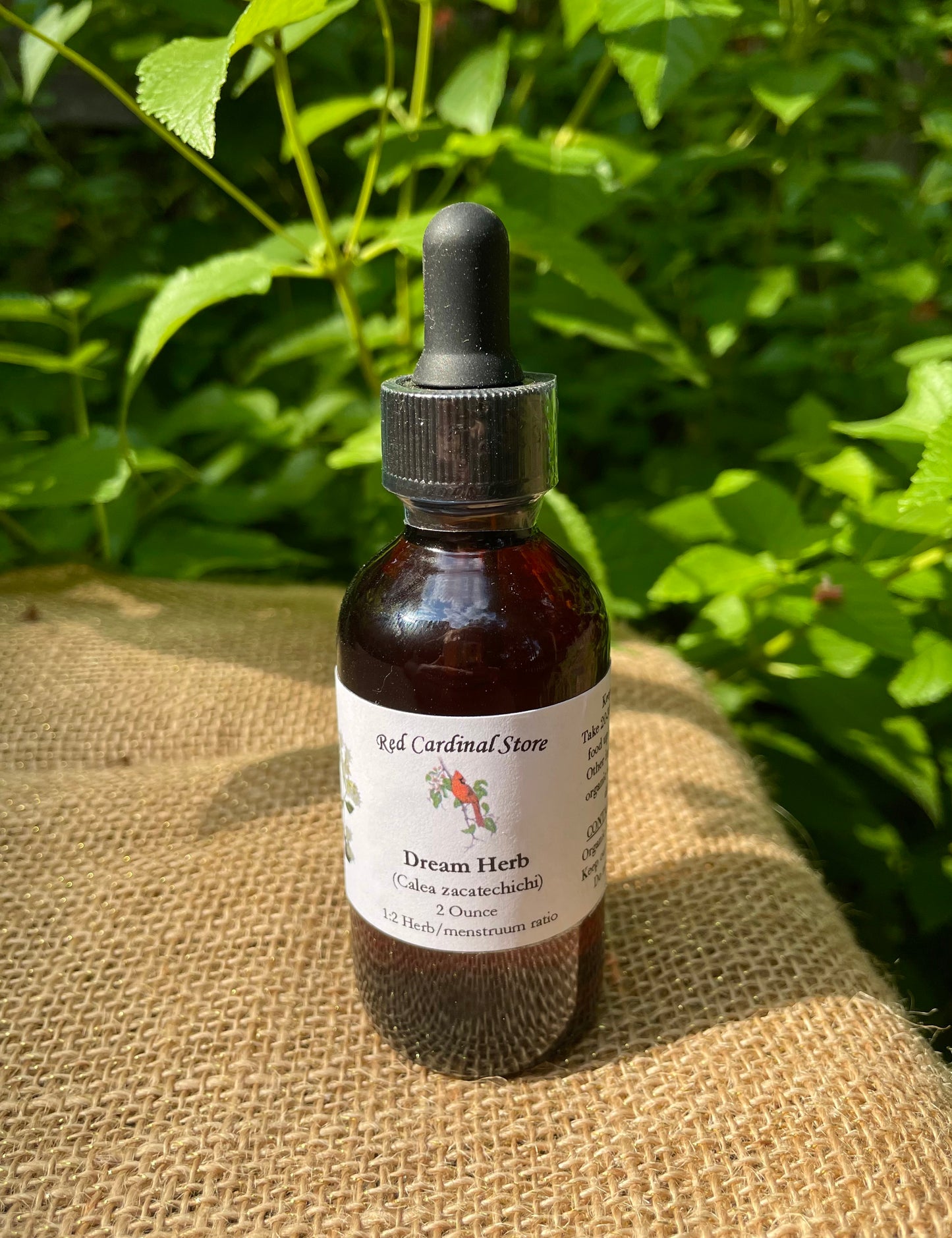 Dream Herb(Calea Zacatechichi,墨西哥梦想药草)酊药草提取物双重提取