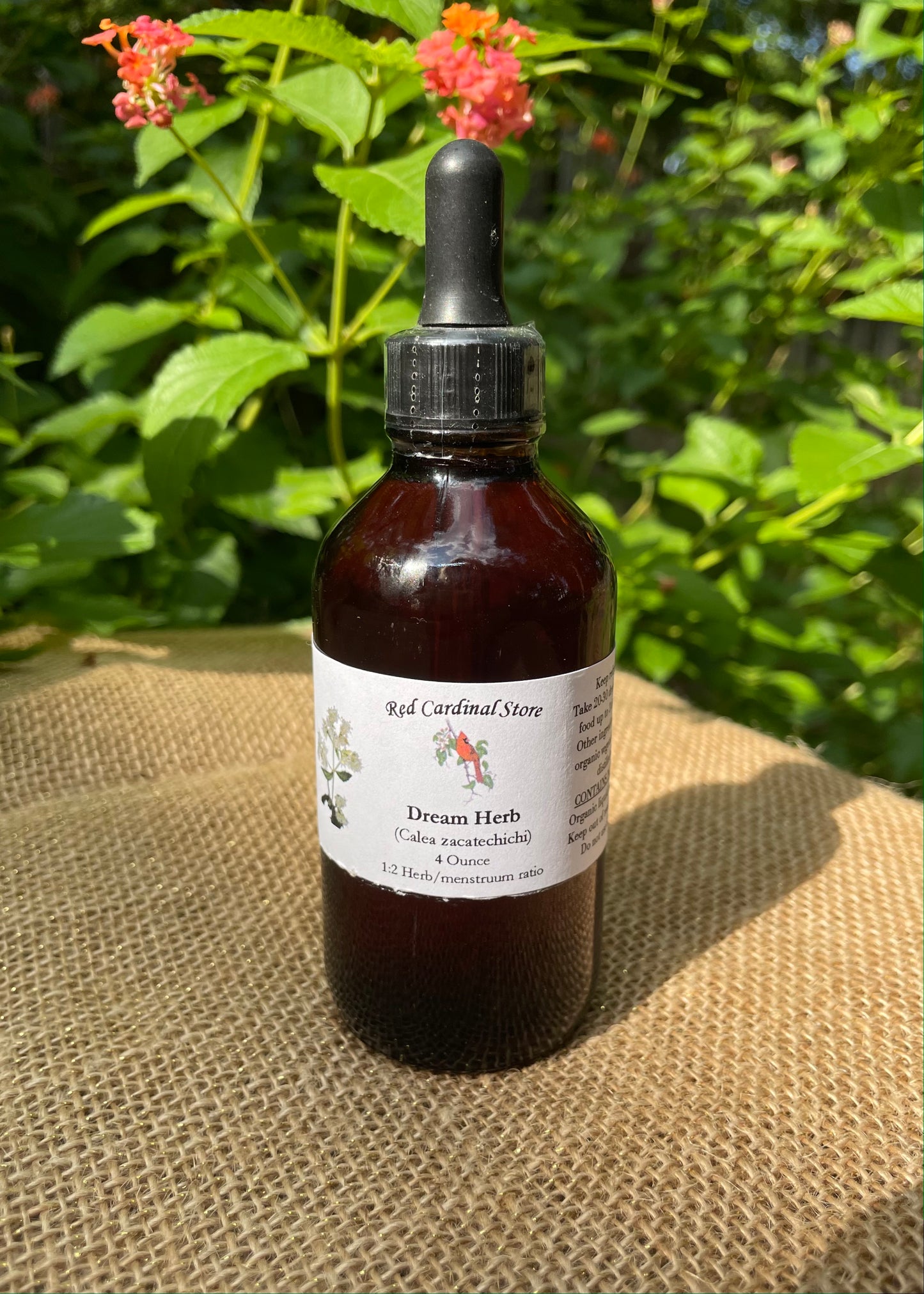 Dream Herb(Calea Zacatechichi,墨西哥梦想药草)酊药草提取物双重提取