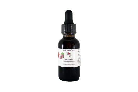 Arrowroot Tincture Herb Extract Double Extraction