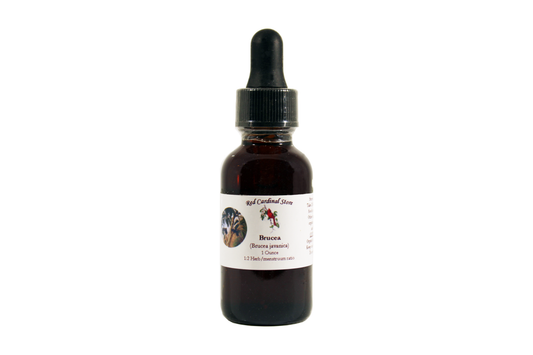 Brucea Fruit (Brucea Javanica) Tincture Herb Extract Double Extraction