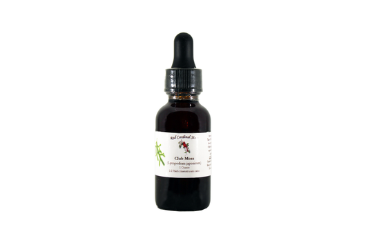 Club Moss Tincture Herb Extract Double Extraction