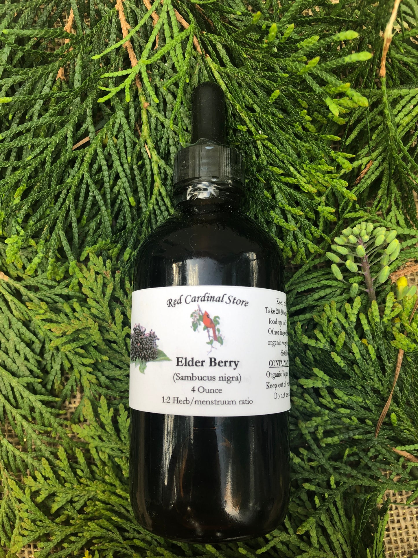 Elderberry Tincture Herb Extract Double Extraction