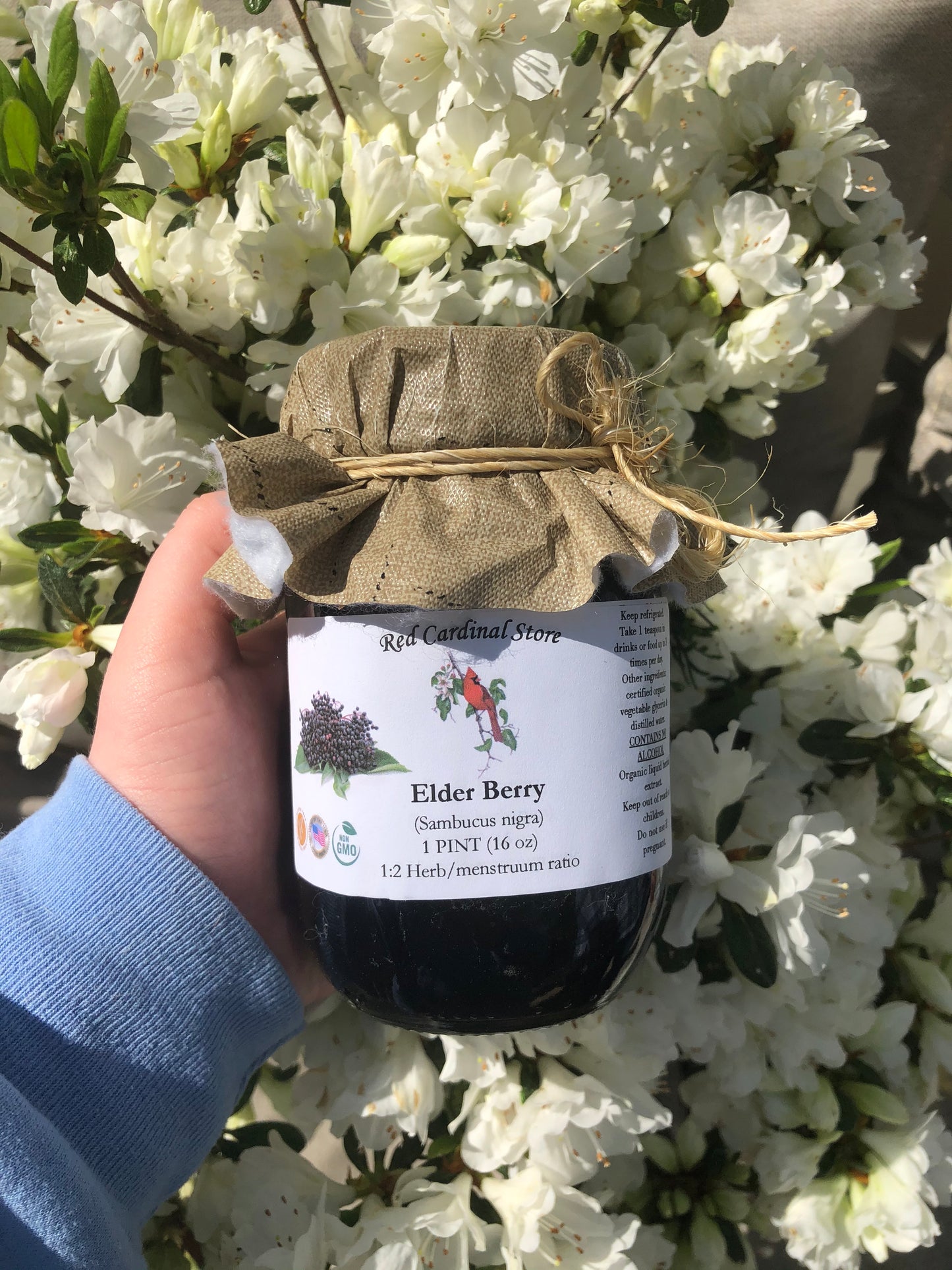 Elderberry Tincture Herb Extract Double Extraction