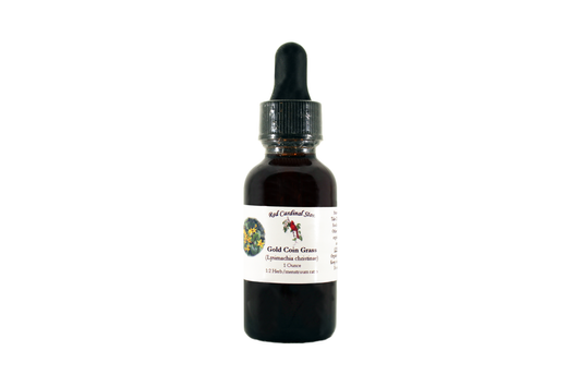 Gold Coin Grass (Jin Qian Cao, Lysimachia Christinae) Tincture Herb Extract Double Extraction