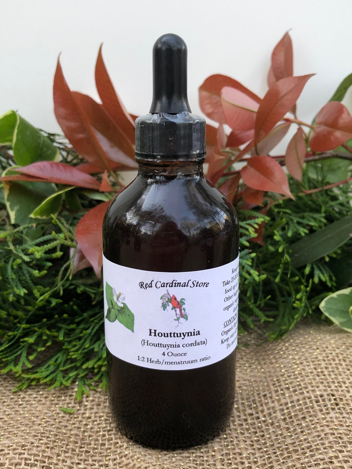 Houttuynia Tincture Herb Extract Double Extraction