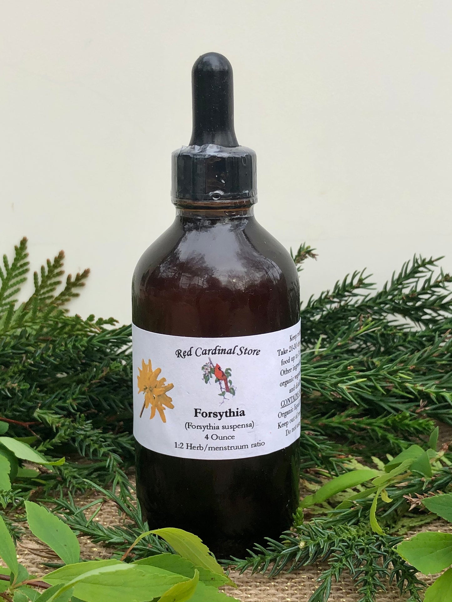 Forsythia Tincture Herb Extract Double Extraction