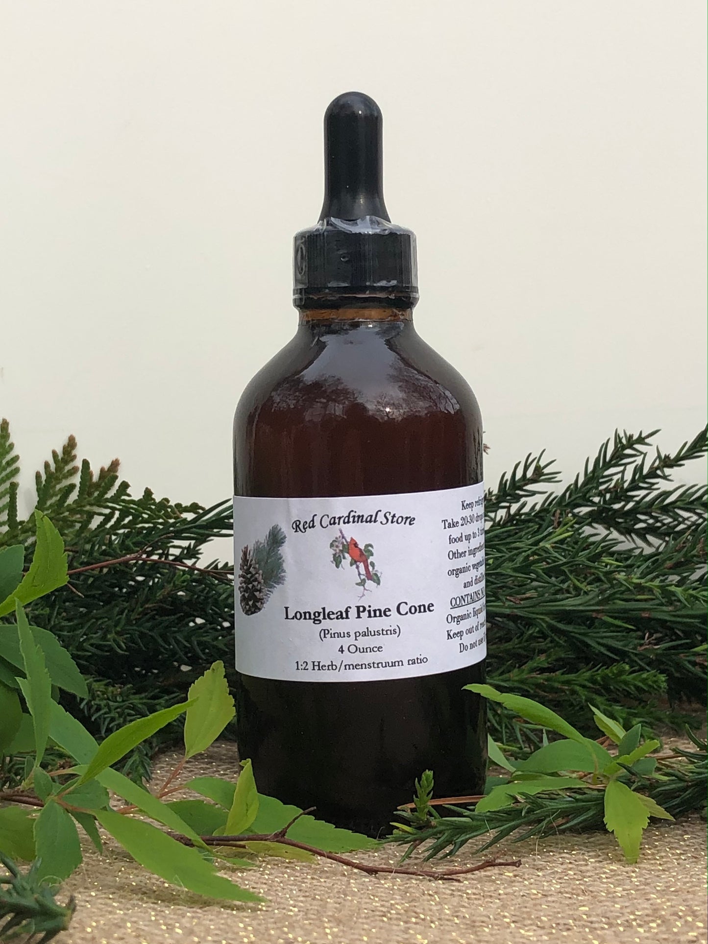 Longleaf Pine Cone Tincture Herb Extract Double Extraction