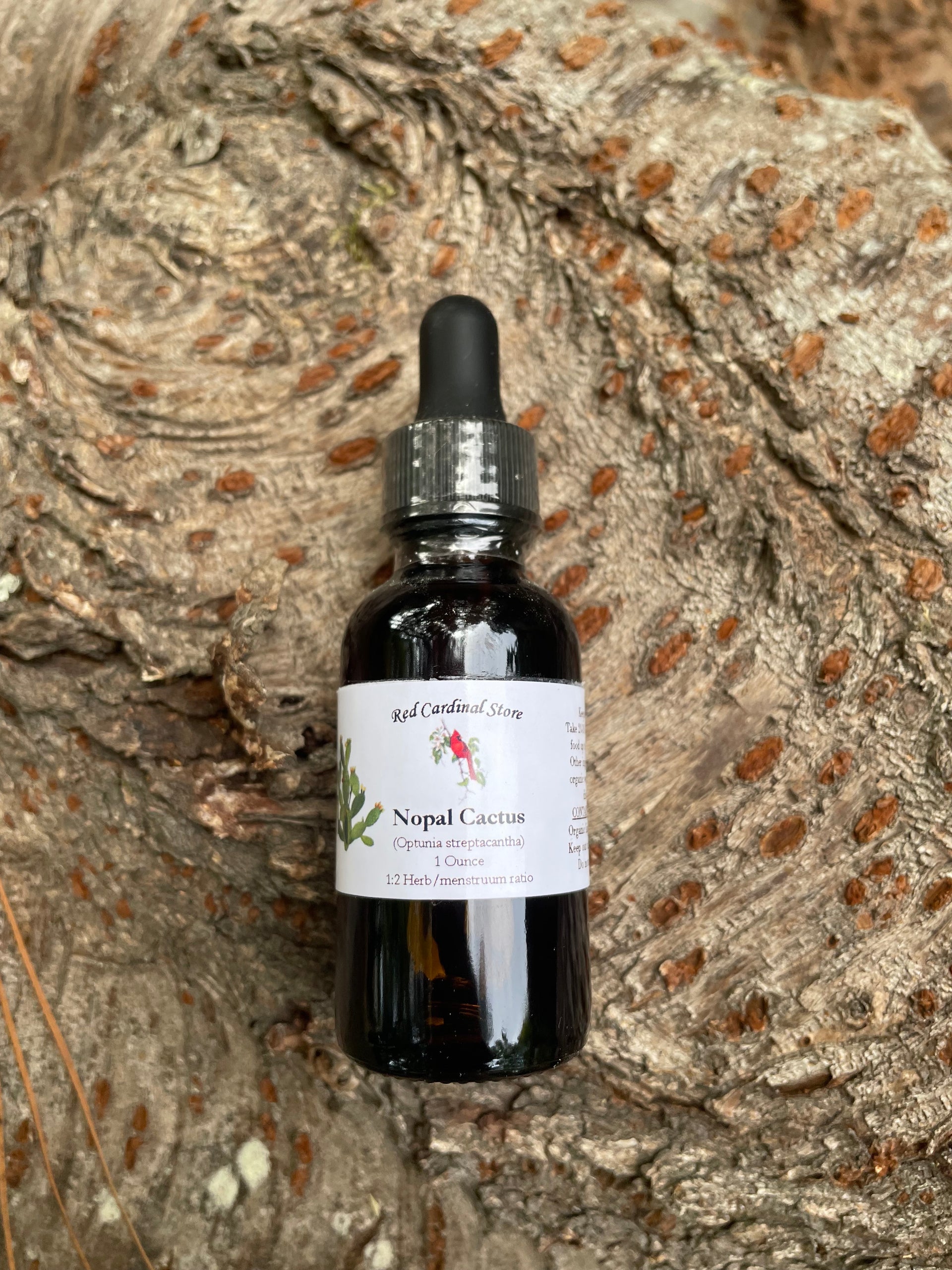 cactus extract Nopal Cactus (Prickly Pear) Tincture Herb Extract Double Extraction – Red  Cardinal Store