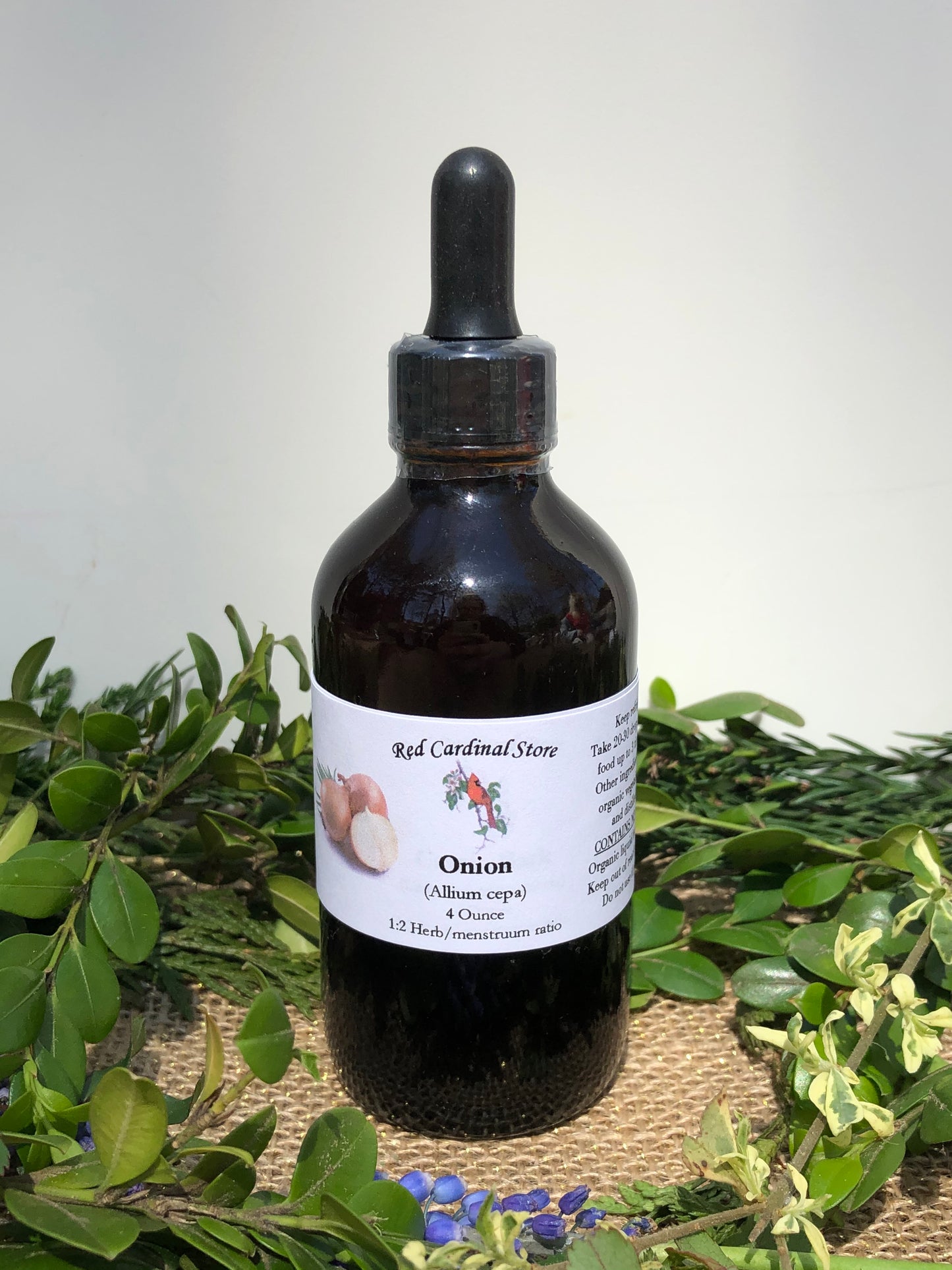 Onion Tincture Herb Extract Double Extraction
