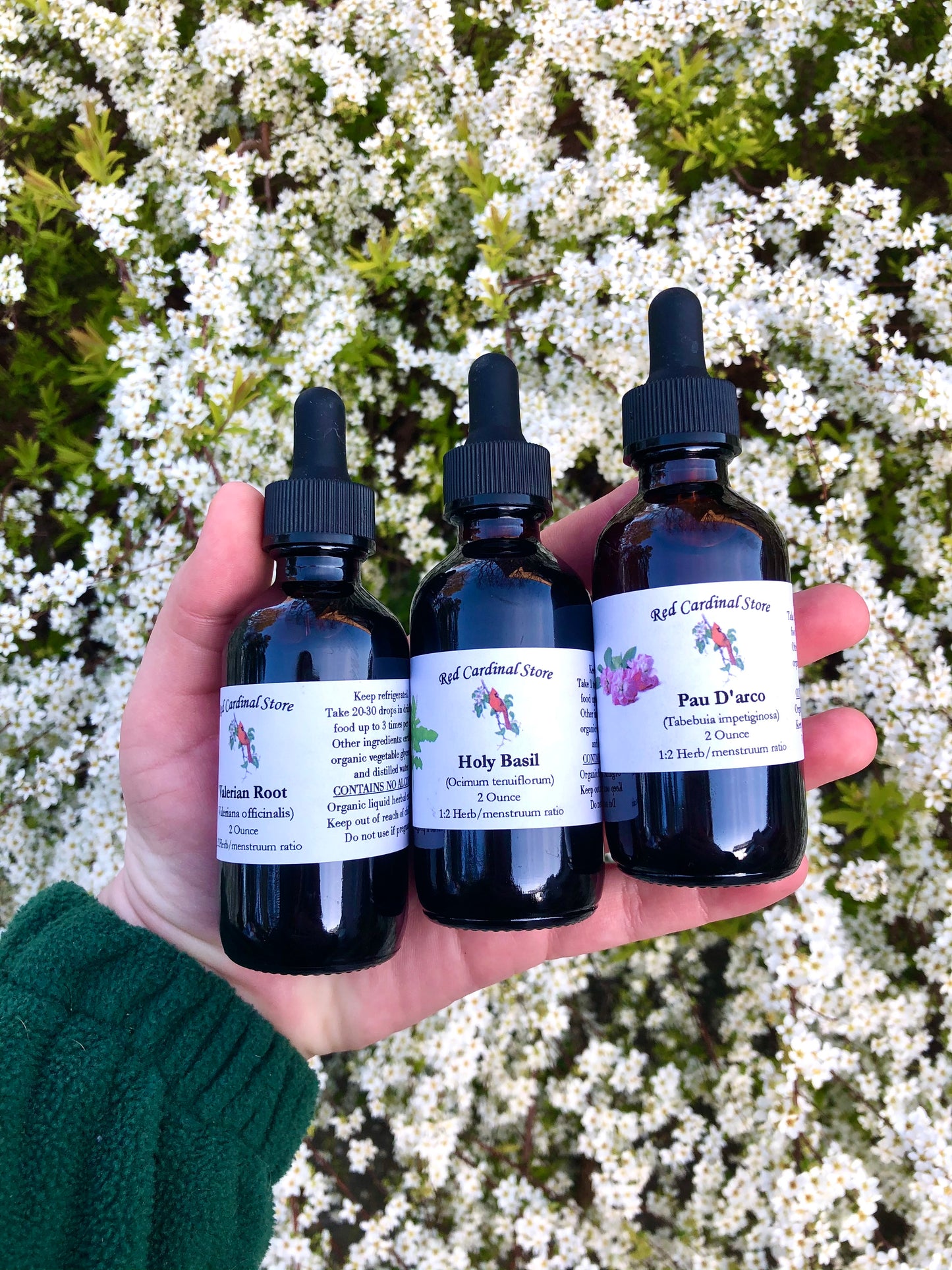 California Poppy Tincture Herb Extract Double Extraction